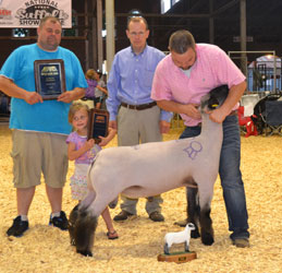 Sedalia - MidWest Stud Ram Sale